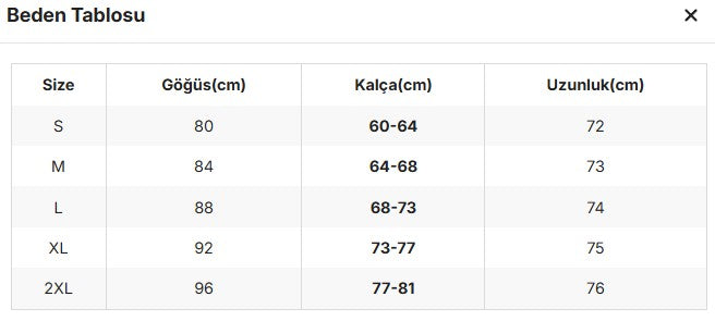 Alina's Fine Chain Bodysuit