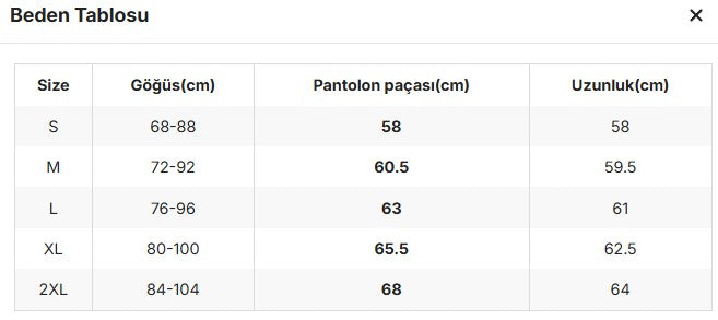 Amelie's Strip See Through Bodysuit