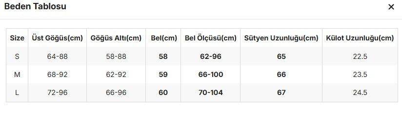 Maid Transparent Cosplay