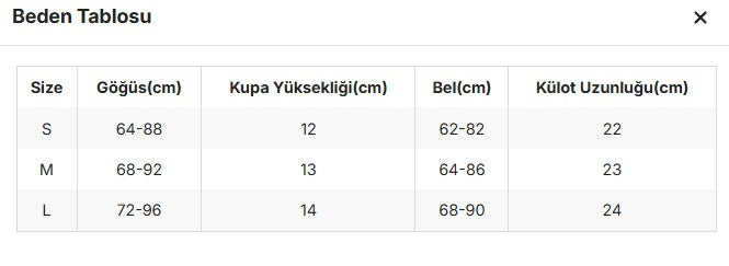 Amanda Sexy Flower Embroidery Mesh Lingerie Set