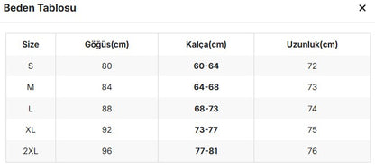 Alina's Fine Chain Bodysuit